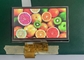 RGB Arayüzü TFT LCD Modülü 5 inç 480×272 IPS Renkli Ekran