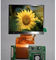 LQ035NC111 Innolux TFT LCD Modülü 3,5 &quot;Aktarıcı Ekran Modu ile