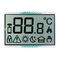 Kızılötesi Termometre için FPC FSTN Tn Pozitif COG LCD Modülü 3V RYD2119TM-01