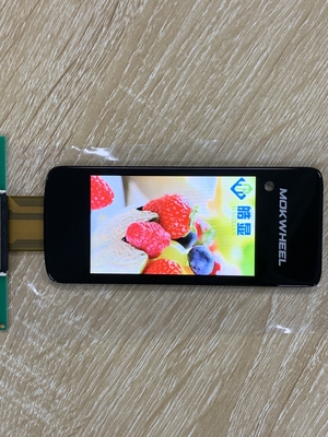 IPS 3.1' 'TFT LCD Ekranı 480rgbx800 çözünürlüklü ekran Boe Cam ile