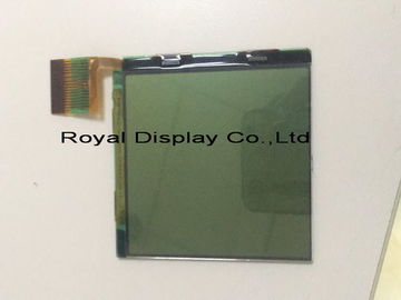 FSTN Postive 320x240 Grafik LCD Modülü RYG320240A