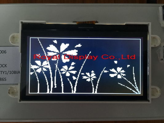 Özelleştirilmiş STN/FSTN 192*64 Nokta Boyutu COG Grafik LCD Modülü Mono LCD Beyaz Arka Işık