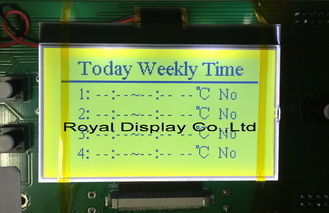180X100 Nokta RYG180100A Grafik COG LCD Modülü FSTN STN Pozitif ISO