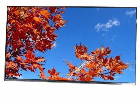 11.6' 1920*1080 Tianma FHD SFT TFT LVDS dokunmatik LCD modülü